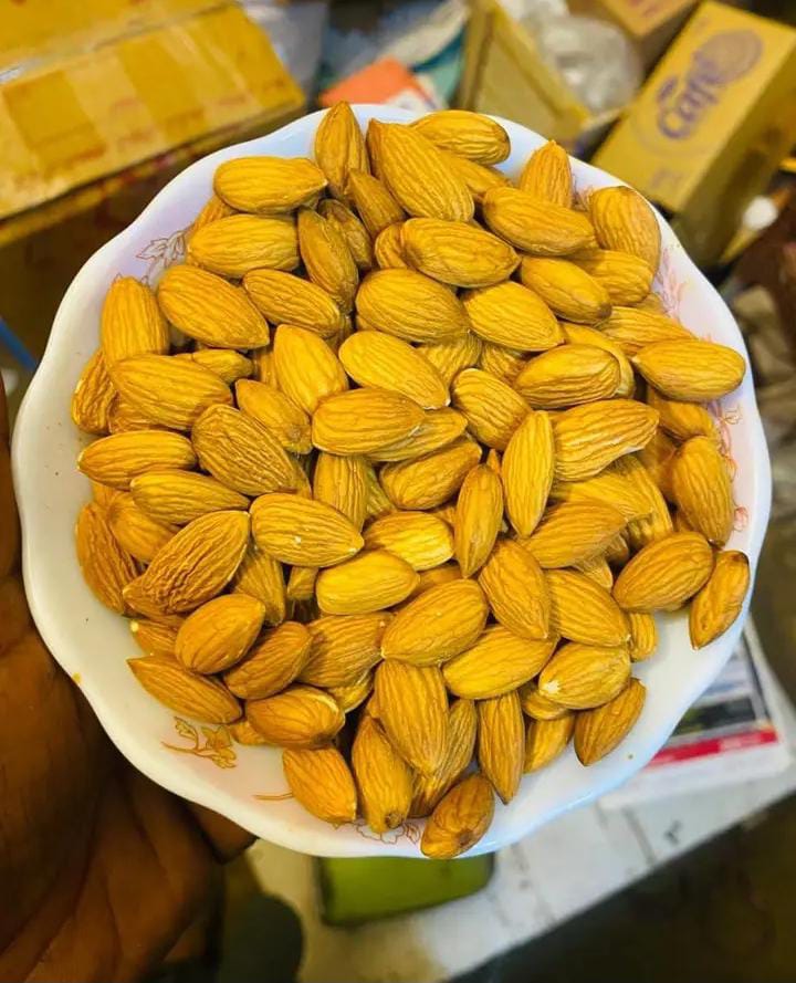 American badam (Almond)